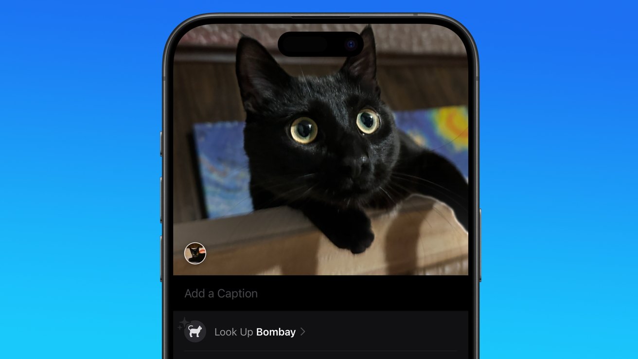 iOS 18 Visual Lookup